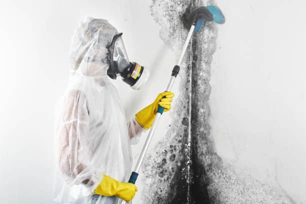 Best Airborne Mold Testing  in Agua Fria, NM