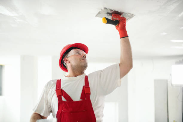 Best Asbestos and Lead Testing During Mold Inspection  in Agua Fria, NM