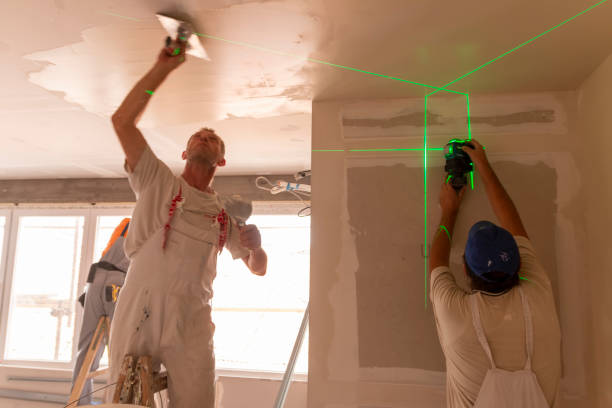 Best Mold Remediation for Healthcare Facilities  in Agua Fria, NM