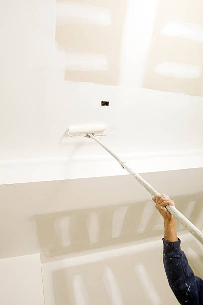 Best Real Estate Mold Inspection  in Agua Fria, NM