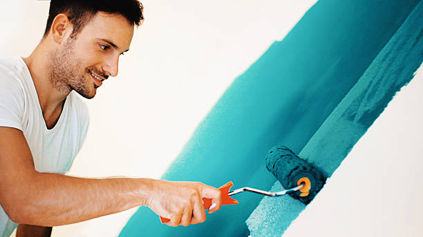 Best Residential Mold Inspection & Testing  in Agua Fria, NM