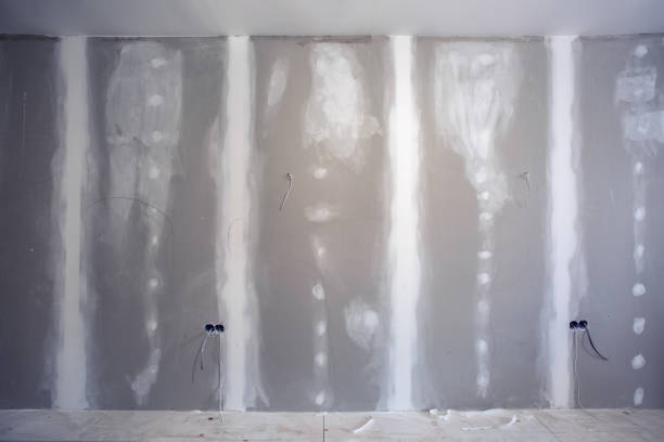 Best HVAC Mold Inspection and Cleaning  in Agua Fria, NM